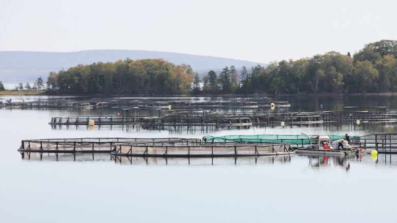 Workers are seen adjusting open-net trout pens on the Bras d'Or Lake owned by We'koqoma'q First Nation.