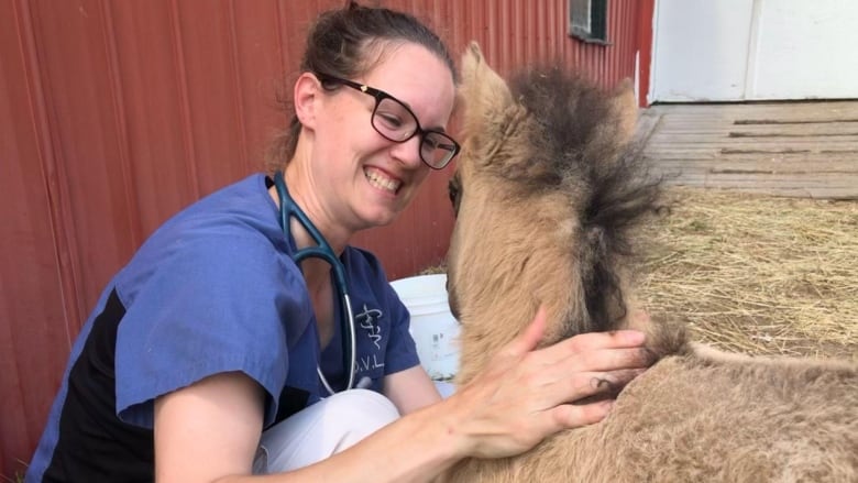 A woman with a stethoscope grins at a foal.