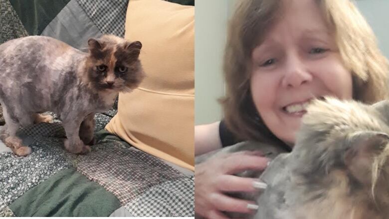 two photos form a collage, on the left hand side is a cat with shaved fur that is orange and grey. on the right a woman smiles while holding the cat. 