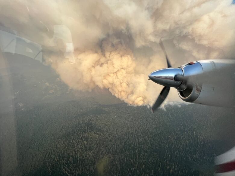 Smoke from the Heather Lake wildfire is seen in an aerial photograph.