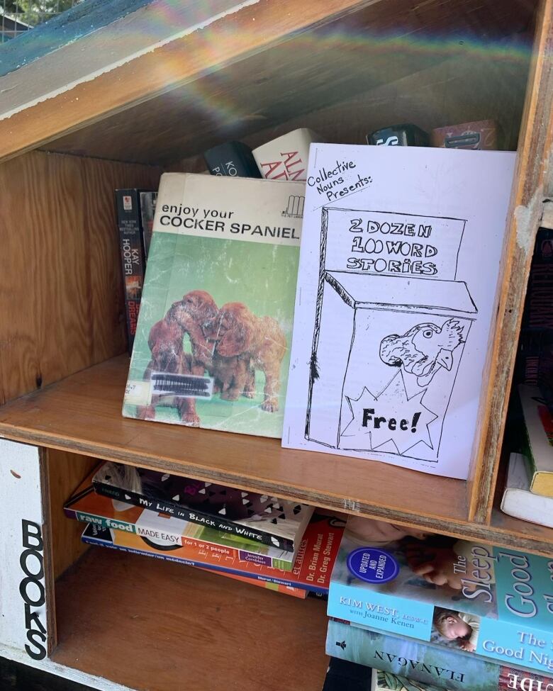 A mini outdoor library with various books on its shelves.