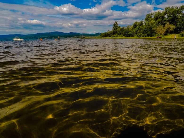 A lake with yellow-ish colouring due to sunlight.