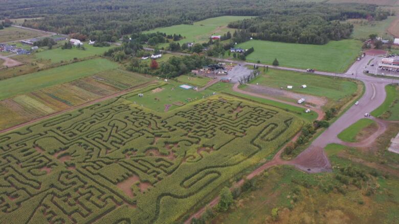 Arial shot of a corn maze.