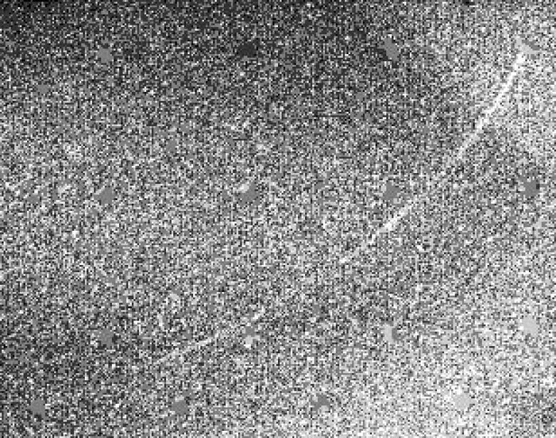 A black and white photo showing what appears to be static, with a white curved line going down the center.