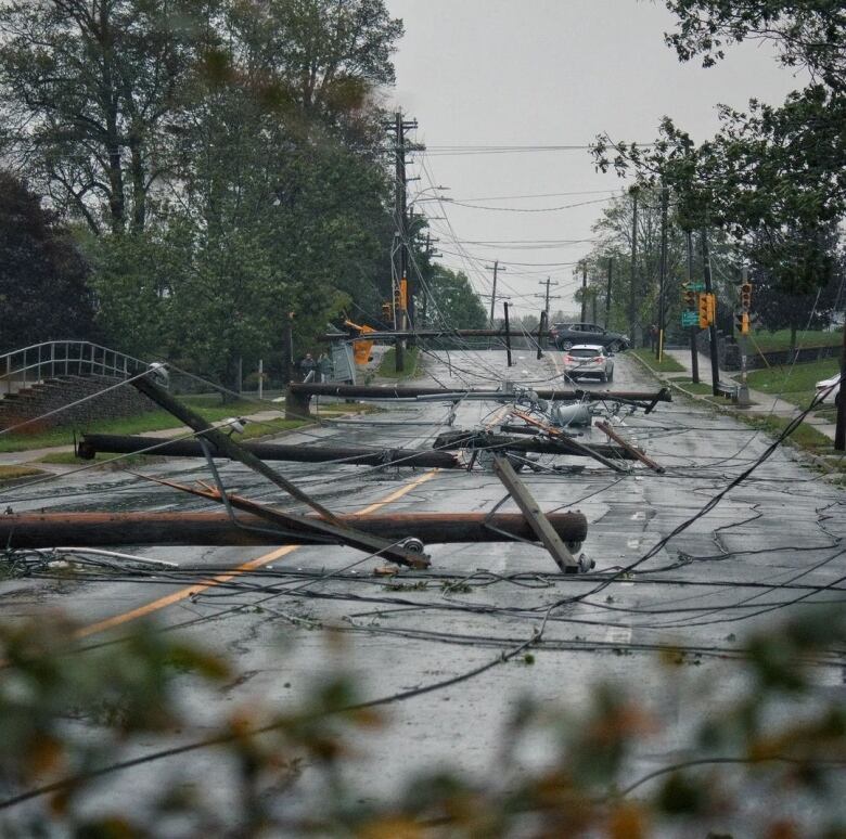 A street is littered with downed utility poles and power lines.