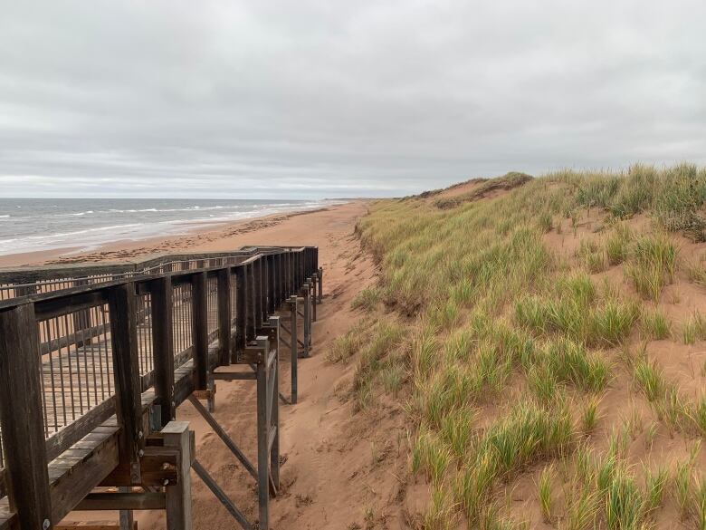 Dune erosion at P.E.I. National Park.