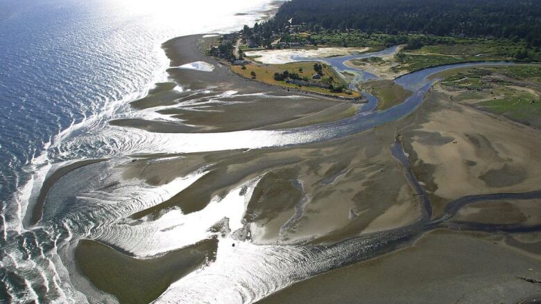 A bird's eye view photo shows green land with trees in the right corner and rivers flowing out to the ocean from sand banks. 