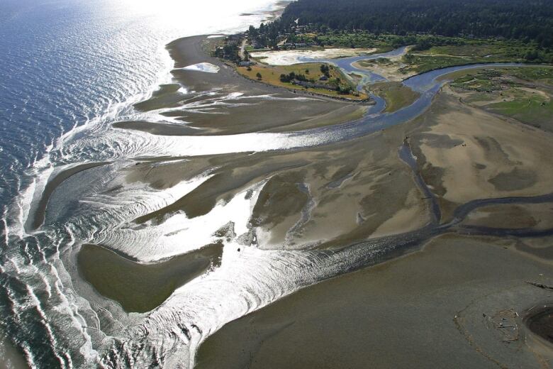 A bird's eye view photo shows green land with trees in the right corner and rivers flowing out to the ocean from sand banks. 