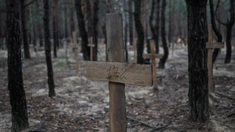 A wooden cross in the forest with the number 172 scrawled on it in what appears to be black marker. The background, dozens of other wooden crosses can be seen sticking out of the ground.