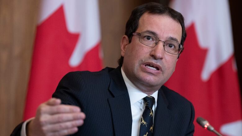 A man in a black suit and tie in front of a row of Canadian flags.