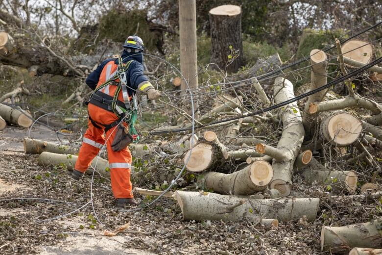 A worker wearing bright orange coveralls and a hard hat carries power lines over a pile of wood cut from a downed tree.