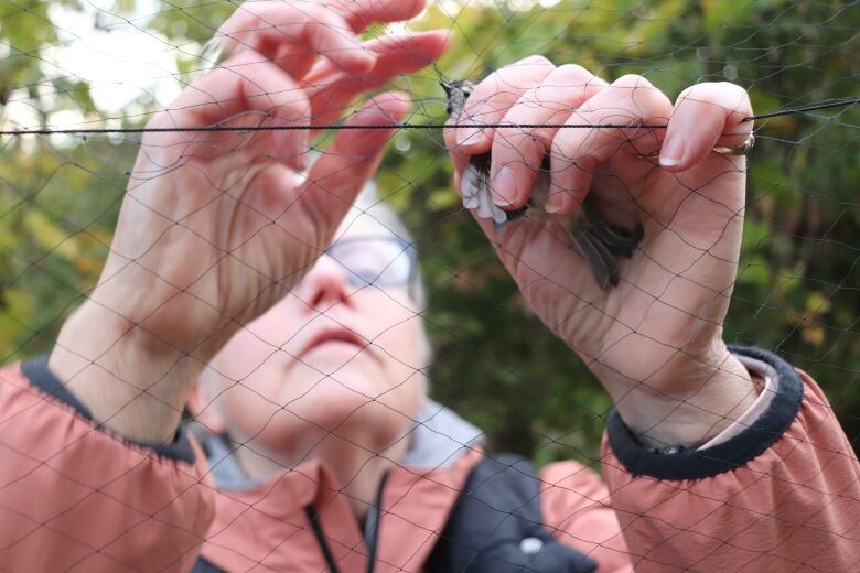 A woman removes a bird from a net. 