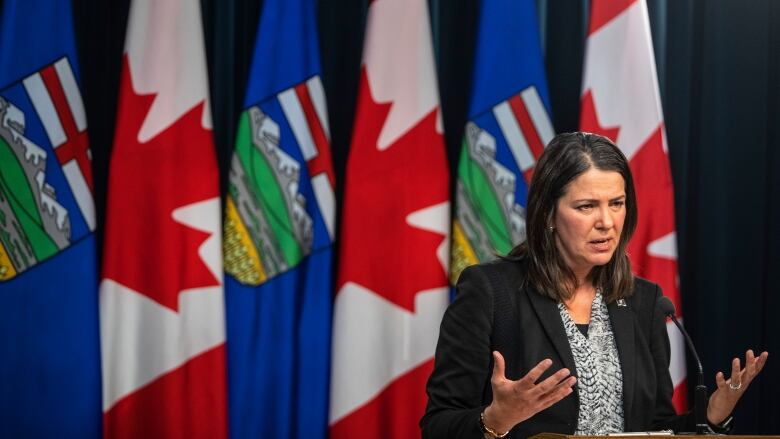 Premier Danielle Smith stands at the right end of a row of Albertan and Canadian flags.