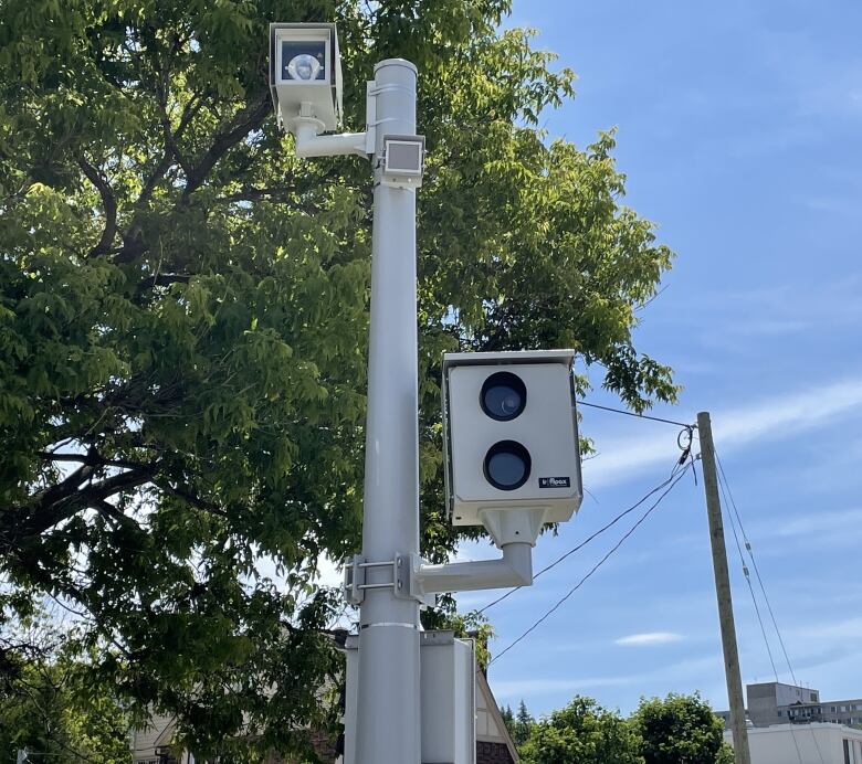 Two camera boxes attached to either side of a metal pole, with trees in the background.