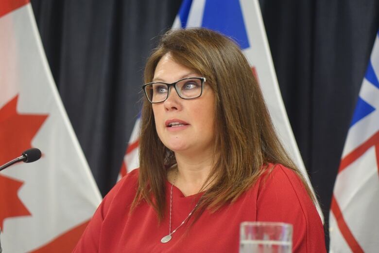 A chest up shot of a person with long hair speaking into a microphone while sitting in front of two Newfoundland and Labrador flags and a Canada flag.