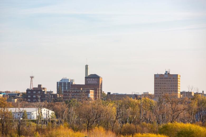 The skyline of a city with colourful autumn trees in front of it.