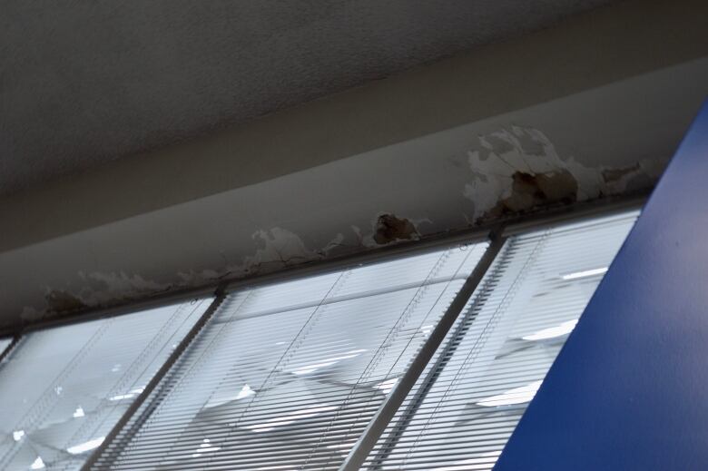 There is very little insulation in the walls of the Regina Central Library and the roof is not connected to the walls of the structure. That has allowed for water to leak and damage parts of the facility. 