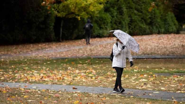 A person holding an umbrella in an autumnal park.