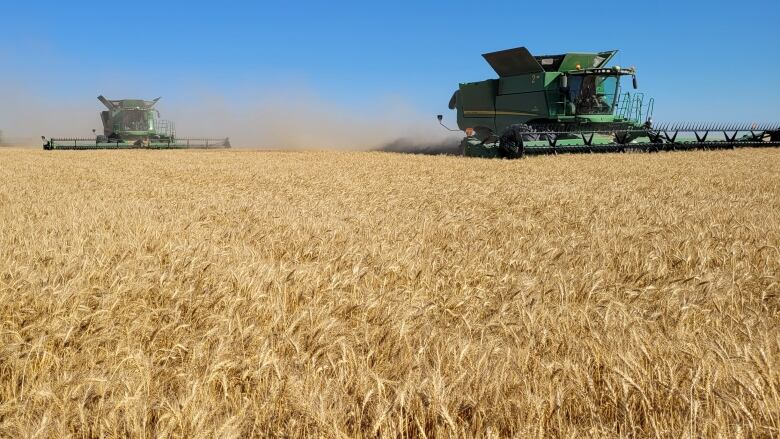 Four green combines run in tandem across a field of crops under a blue sky.