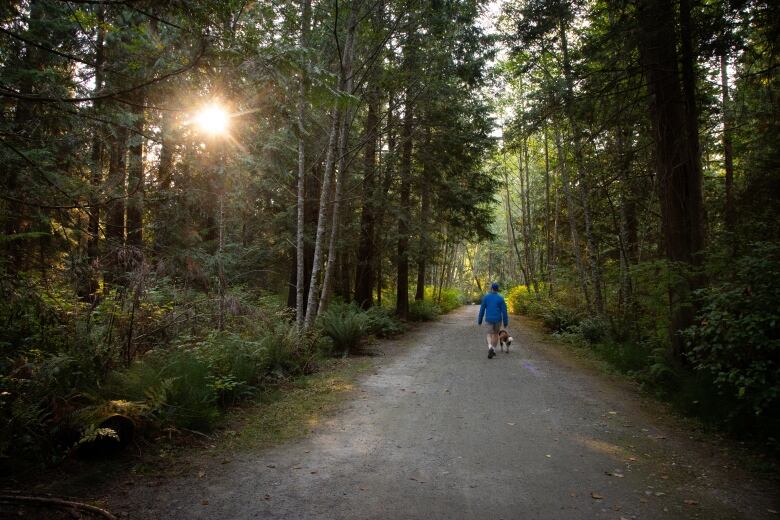 A person and a dog walk away from the camera along a gravel path surrounded by trees. The setting sun peeks through branches