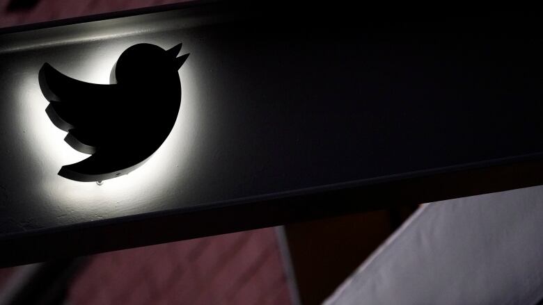 The Twitter logo image shown in black shadow against a white light.