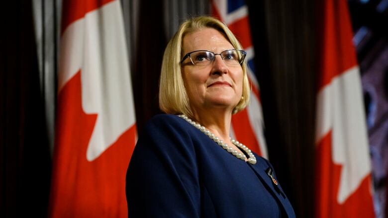 Ontario Health Minister Sylvia Jones speaks with media at Queens Park in Toronto.