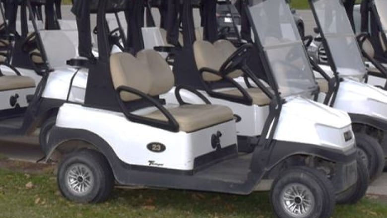 The stolen golf carts from Lincoln, Ont. golf course are 2020 EZGO Tempo Golf Carts with two seats, with stock rims or tires and beige seats.