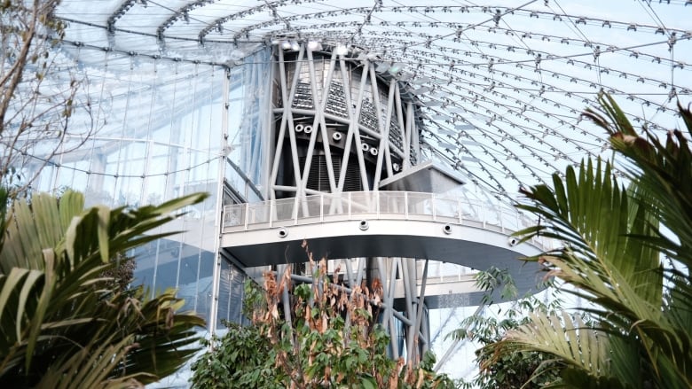 A tall metal art structure in a greenhouse surrounded by plants.