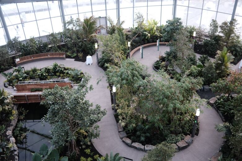 A birds eye view of a greenhouse space.