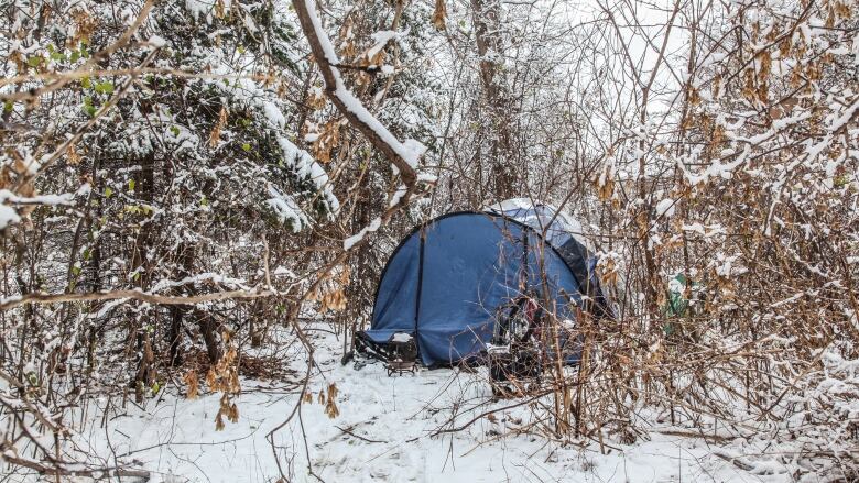 A tent in the snowy woods.