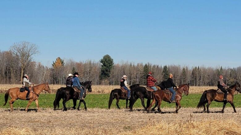 People on horseback walk across a field, with the forest in the background. 