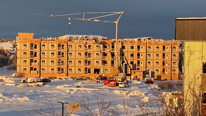 Building in development with crane in front.