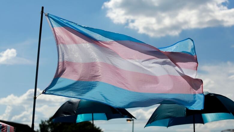 Trans flag waving in the air.