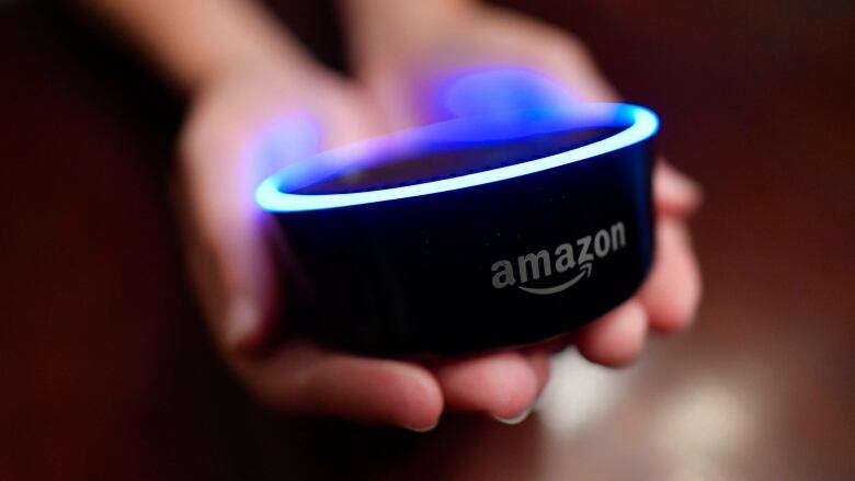 A dark coloured oval speaker being held in two hands