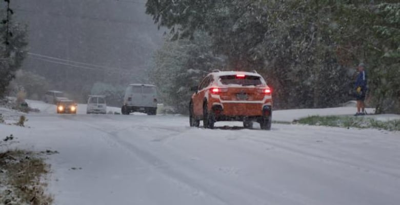 Cars go up and down a snow-covered road