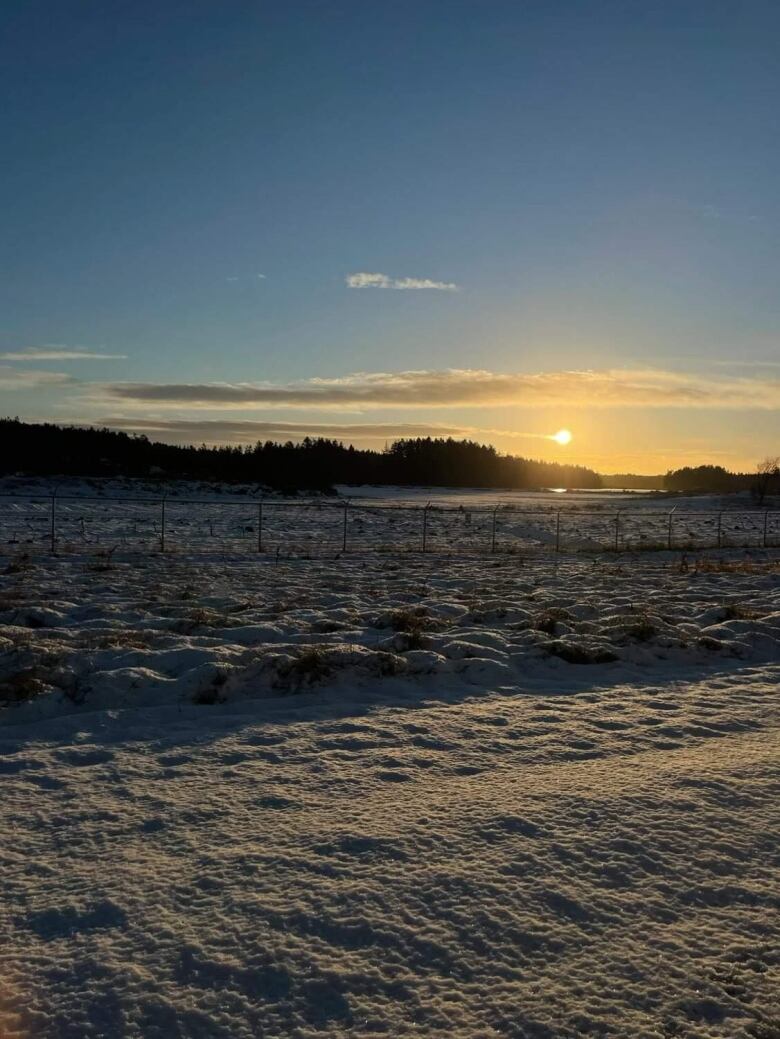 A sunrise over a snow covered field