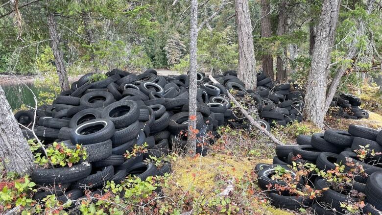 Volunteers removed more than 2,400 tires from Nelson Island, B.C.