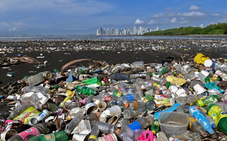 Thousands of plastic bottles and containers are sprawled across black sand with blue water and light blue sky in the background.