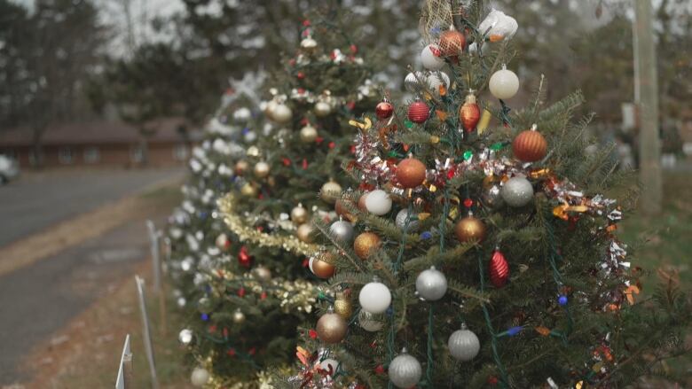 Outdoor decorated Christmas trees