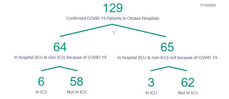 A graphic breaking down Ottawa COVID-19 hospitalizations.