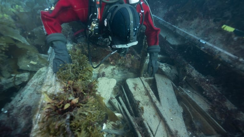 Diver in red suit, blue water, floating atop plant covered boards.