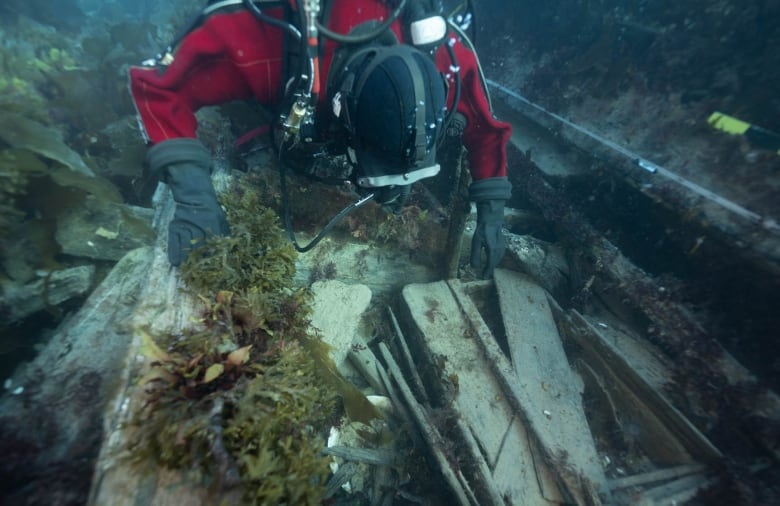 Diver in red suit, blue water, floating atop plant covered boards.