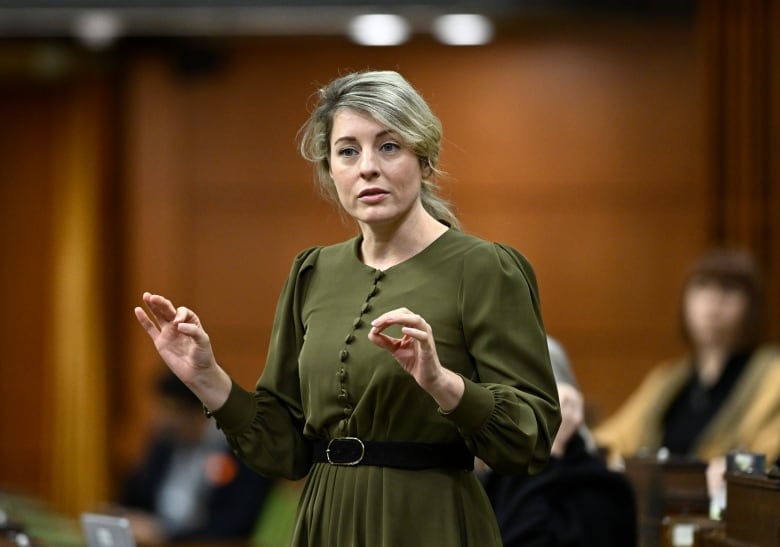 Minister of Foreign Affairs Melanie Joly spoke Mar. 16, 2023 with her Israeli counterpart Eli Cohen by phone, noting that Ottawa is keeping a close eye on Israel's judicial reform.