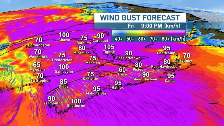 Forecast model projections indicate widespread wind gusts in the 80 to 100 km/h range late Friday into Saturday.