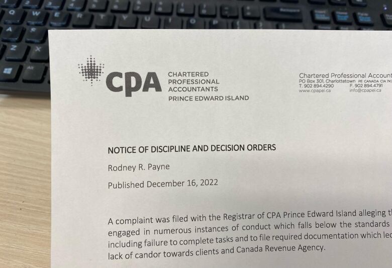 A document listing the reasons for chartered accountant Rodney Payne's professional suspension. 