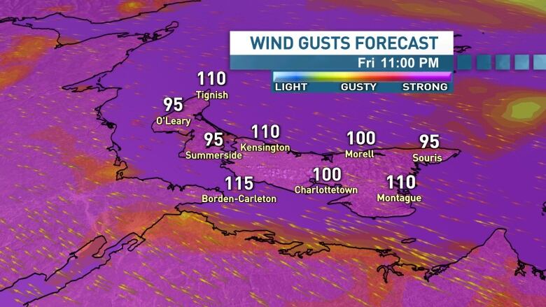 A map showing forecast wind gusts on P.E.I.