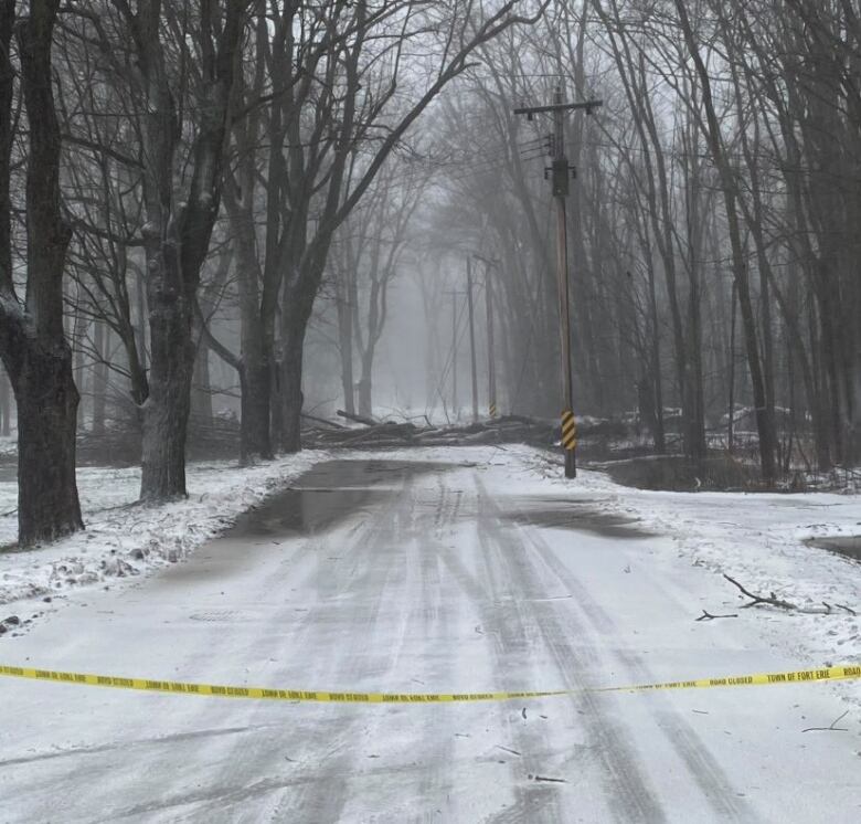 Trees are fallen across a snowy road. 