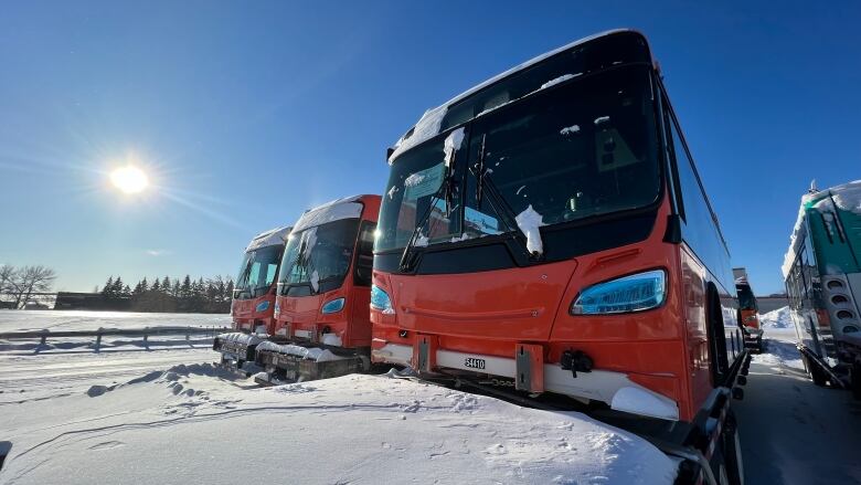 Three buses sit in a snowdrift.