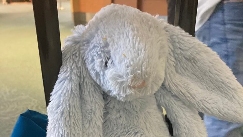 This stuffed bunny has been stranded at Vancouver International Airport.