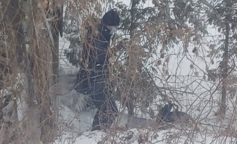 A passenger on a stuck train scrambles through the underbrush outside a VIA Rail train on the way to Toronto.